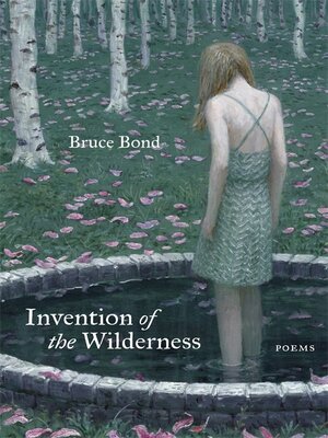 cover image of Invention of the Wilderness